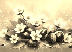 Szary + Sepia