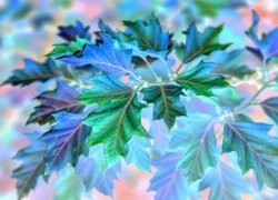 Negatyw