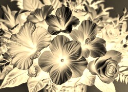 Sepia + Negatyw