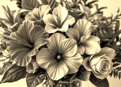 Szary + Sepia