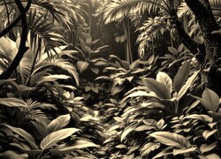 Szary + Sepia