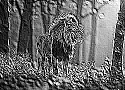 Skamielina