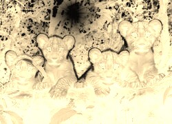 Sepia + Negatyw