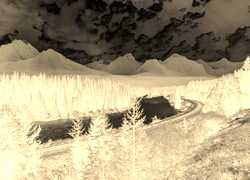 Sepia + Negatyw