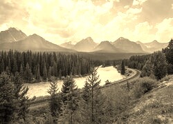 Sepia