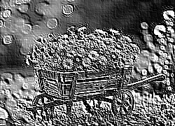 Skamielina