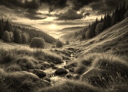 Szary + Sepia