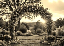 Szary + Sepia