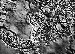 Skamielina