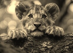 Sepia