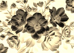 Sepia + Negatyw