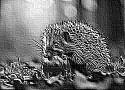 Skamielina