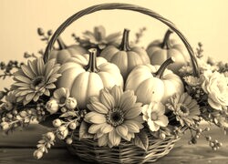 Szary + Sepia