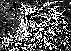 Skamielina