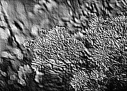 Skamielina