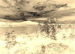 Sepia + Negatyw