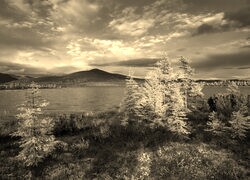 Szary + Sepia