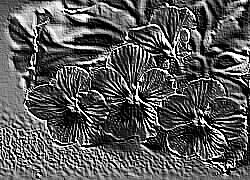 Skamielina
