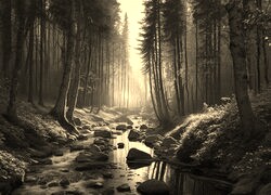 Sepia