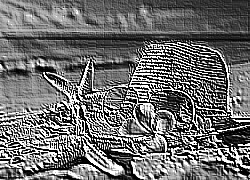Skamielina