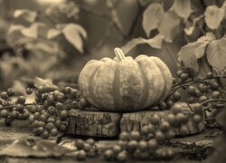 Szary + Sepia