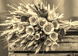 Szary + Sepia