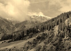 Szary + Sepia
