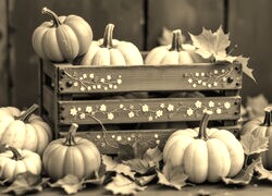 Szary + Sepia