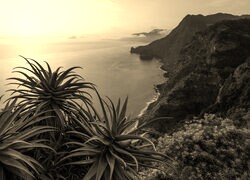 Szary + Sepia