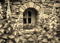 Szary + Sepia