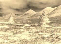 Sepia + Negatyw