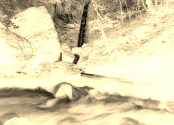 Sepia + Negatyw