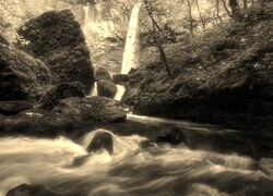 Szary + Sepia