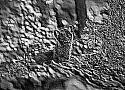 Skamielina