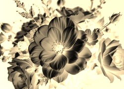 Sepia + Negatyw