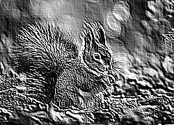 Skamielina