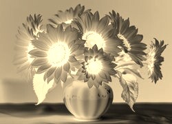 Sepia + Negatyw