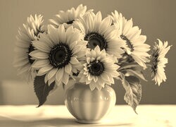 Szary + Sepia