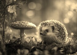Szary + Sepia