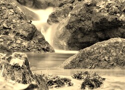 Sepia