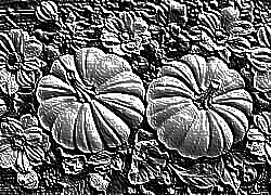 Skamielina