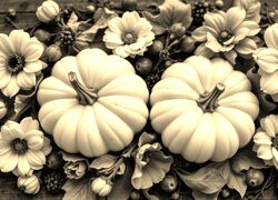 Szary + Sepia