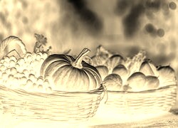 Sepia + Negatyw