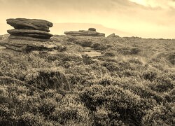Szary + Sepia
