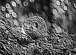 Skamielina