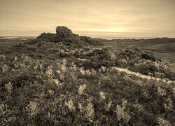 Szary + Sepia