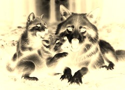 Sepia + Negatyw