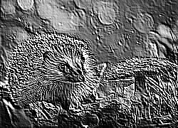 Skamielina