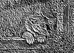 Skamielina