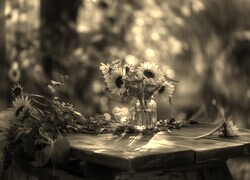 Szary + Sepia